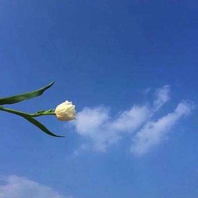 收纳小游戏官方版下载