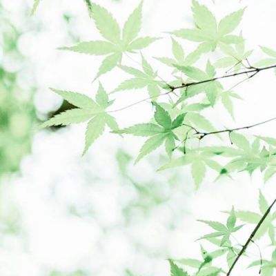 逗趣游戏盒子下载安装